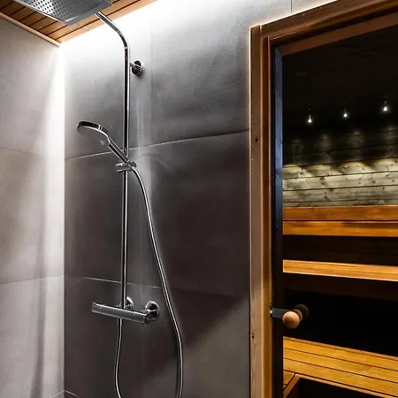 Premium Lapland With Jaguzzi Rovaniemi