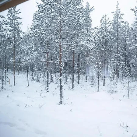 Premium Lapland With Jaguzzi Villa